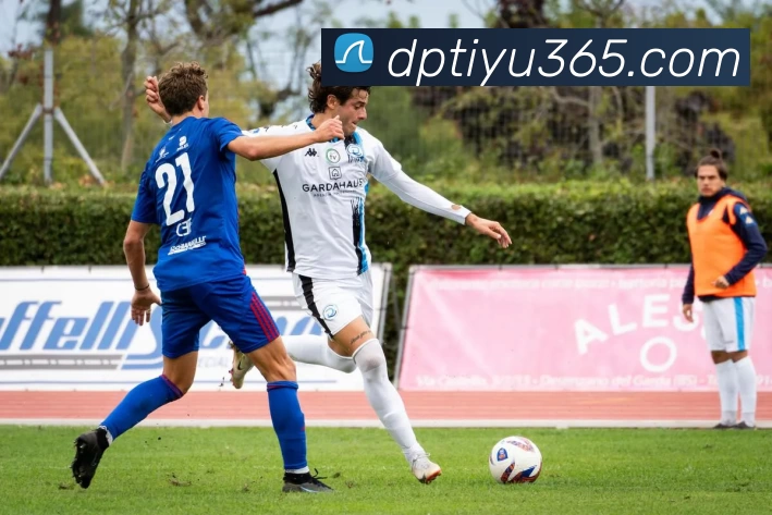 DP体育官网平台生态图